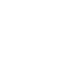 Icono