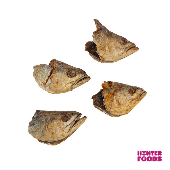 Cabeza de Corvina